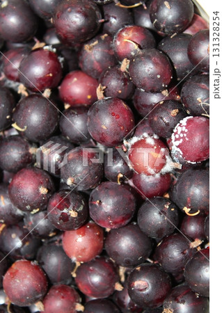 Deliciously Fresh and Juicy Collection of Organic Berries for Every Occasion and Diet 131328254