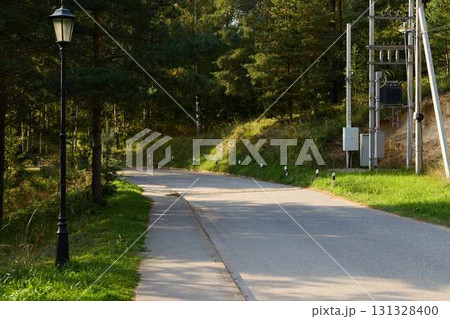 A Serene and Peaceful Pathway Winding Through Lush Greenery and Charming Lamp Posts A Serene and Peaceful Pathway Winding Through Lush Greenery and Charming Lamp Posts 131328400