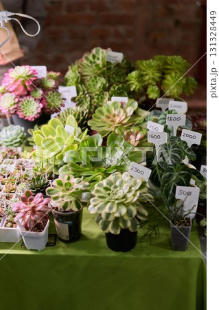 A Vibrant Display of Beautiful Succulent Plants on Display at a Charming Market Stall A Vibrant Display of Beautiful Succulent Plants on Display at a Charming Market Stall 131328449