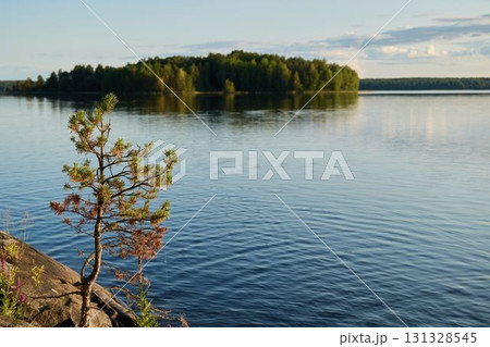 A Serene Island Reflection in Calm Water at Dusk, Offering a Perfect Escape into Nature 131328545