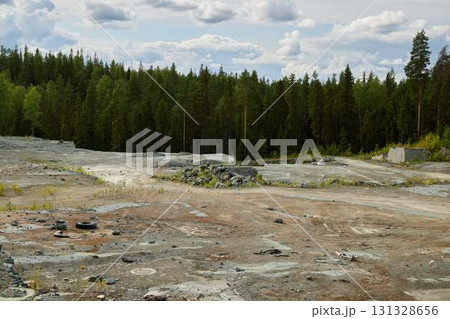 An Abandoned Quarry That is Surrounded by a Beautiful and Lush Green Forest Landscape 131328656
