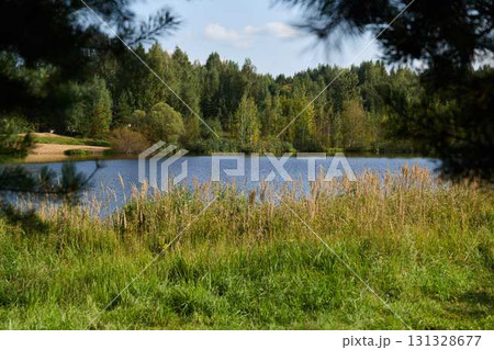 A Beautiful, Serene Lake Nestled Amongst Lush Greenery and Tall Trees All Around 131328677