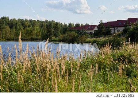 A Serene and Stunning Lakeside View Featuring Lush Vegetation Alongside Modern Architecture 131328682