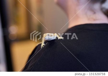 A friendly lizard rests on my shoulder, showcasing its vivid colors and patterns A friendly lizard rests on my shoulder, showcasing its vivid colors and patterns 131328738