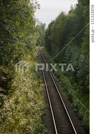 A Serene Railway Path That Is Surrounded by Lush Greenery and Beautiful Scenic Views 131328856