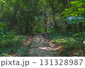 沖縄 斎場御嶽 密林の中の遊歩道 131328987