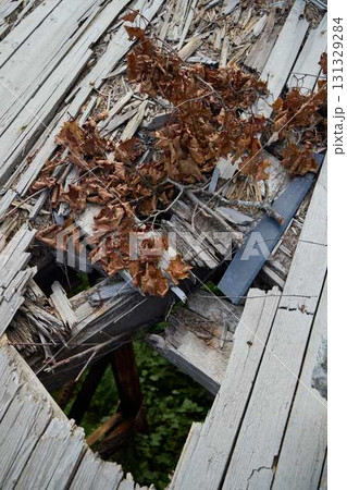 Decay An InDepth CloseUp of Weathered Wood and Fallen Leaves in Natures Embrace Decay An InDepth CloseUp of Weathered Wood and Fallen Leaves in Natures Embrace 131329284