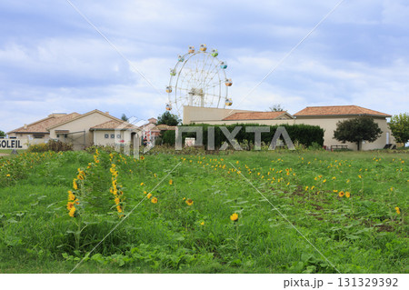 ソレイユの丘の秋 131329392