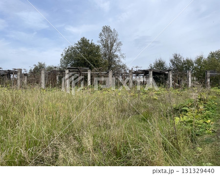 A LongAbandoned Structure Enveloped by Natures Overgrowth, TimeWorn and Embraced by It A LongAbandoned Structure Enveloped by Natures Overgrowth, TimeWorn and Embraced by It 131329440