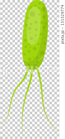 Stylized green bacteria cell with flagella, set against a black background, cartoon style. 131329774