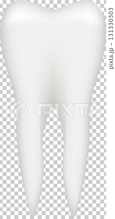 Anatomical illustration of a molar tooth. The image presents a detailed tooth, showcasing its shape. 131330303