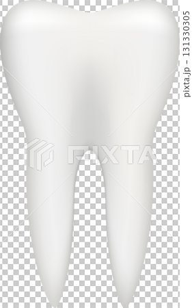 Illustration of a single, healthy molar, tooth, depicting oral health and dental care, white. 131330305