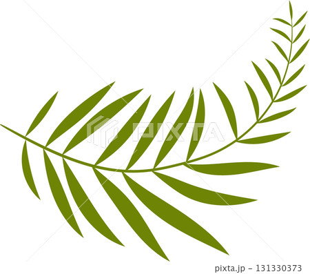 A single olive green branch of a fern with segmented leaves curves across a black background. 131330373