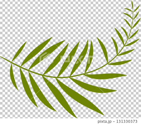 A single olive green branch of a fern with segmented leaves curves across a black background. 131330373