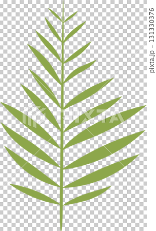 Detailed illustration of a green palm frond set against a black background, botanical vector art. 131330376