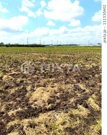 秋の収穫後の藁の残る耕作された近郊の田んぼ風景 131330402