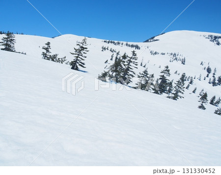 冬の会津駒ケ岳 131330452