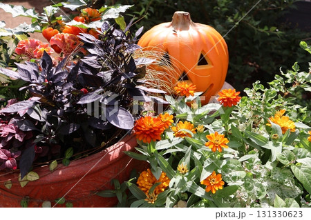ハロウイン仕様の花の寄せ植え&寄せ鉢 ハロウイン仕様の花の寄せ植え&寄せ鉢 131330623