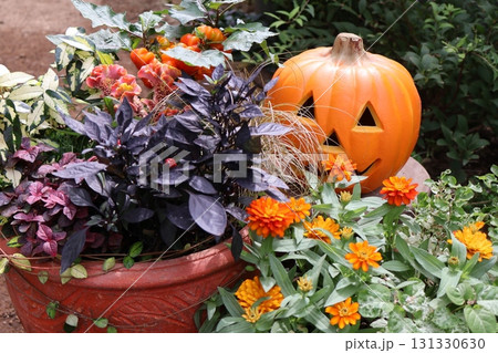 ハロウイン仕様の寄せ植え&寄せ鉢 ハロウイン仕様の寄せ植え&寄せ鉢 131330630