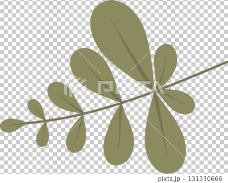 Stylized leaf with rounded leaflets, displayed diagonally against a plain black background. Stylized leaf with rounded leaflets, displayed diagonally against a plain black background. 131330666