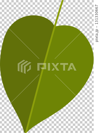 Illustration of a single, green leaf with a central vein, set against a plain black background. Illustration of a single, green leaf with a central vein, set against a plain black background. 131330667