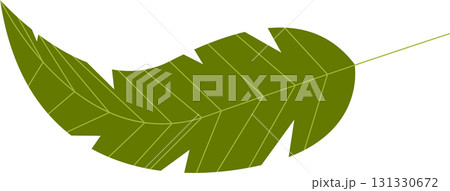 Green leaf with serrated edges and thin veins. Perfect for botanical illustrations or nature-themed art. Green leaf with serrated edges and thin veins. Perfect for botanical illustrations or nature-themed art. 131330672