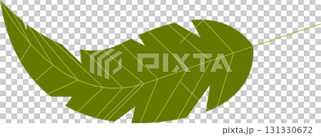 Green leaf with serrated edges and thin veins. Perfect for botanical illustrations or nature-themed art. Green leaf with serrated edges and thin veins. Perfect for botanical illustrations or nature-themed art. 131330672