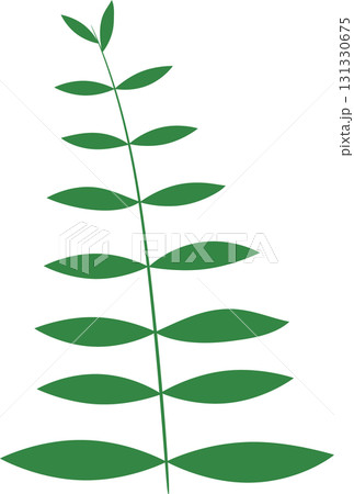 Illustration of a fern-like plant with simple green leaves arranged along a central stem. Illustration of a fern-like plant with simple green leaves arranged along a central stem. 131330675