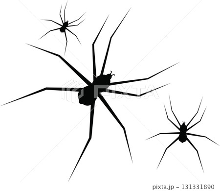 Silhouette of arachnids with long legs crawling in the dark, creating a creepy and spooky scene. Silhouette of arachnids with long legs crawling in the dark, creating a creepy and spooky scene. 131331890
