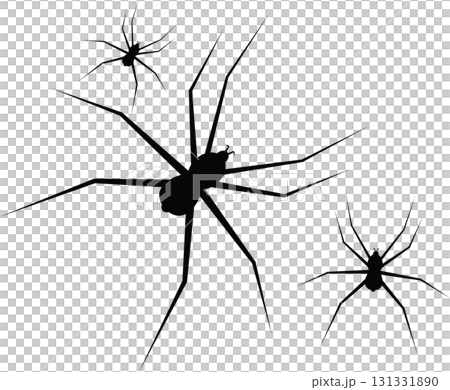 Silhouette of arachnids with long legs crawling in the dark, creating a creepy and spooky scene. Silhouette of arachnids with long legs crawling in the dark, creating a creepy and spooky scene. 131331890