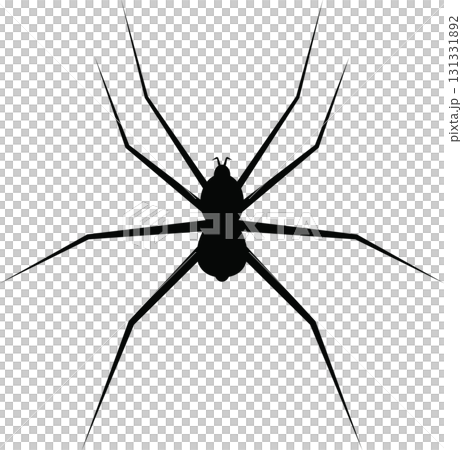 Silhouette of a spider with long, slender legs against a black background. Simple and dark. 131331892