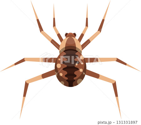 Illustration of a spider with striped legs and brown spots on its abdomen, against black backdrop Illustration of a spider with striped legs and brown spots on its abdomen, against black backdrop 131331897