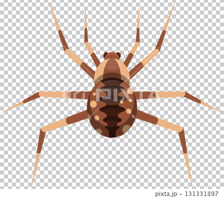 Illustration of a spider with striped legs and brown spots on its abdomen, against black backdrop Illustration of a spider with striped legs and brown spots on its abdomen, against black backdrop 131331897