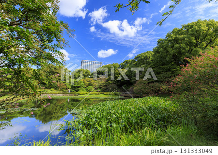 皇居東御苑から見た大手町のビル群 131333049