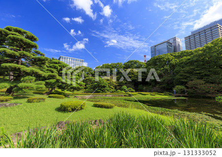 皇居東御苑から見た大手町のビル群 131333052