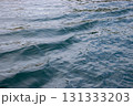 海面 131333203