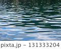 海面 131333204