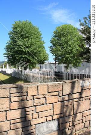 閑静な住宅街の街路樹を撮影しました。 閑静な住宅街の街路樹を撮影しました。 131333219