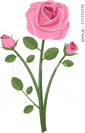 Stylized Illustration: Pink Rose with Two Buds on Dark Background, Flat Vector Graphics 131333338