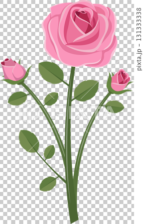 Stylized Illustration: Pink Rose with Two Buds on Dark Background, Flat Vector Graphics 131333338