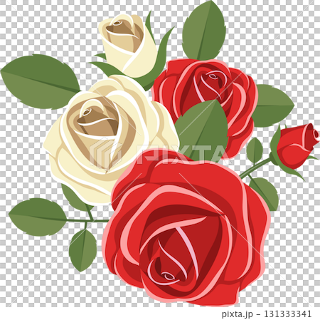 Elegant rose bouquet in red and white hues with vibrant green leaves against a black backdrop. 131333341