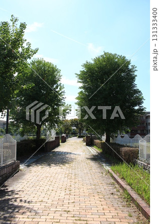 夏の公園の長い石畳の道の街路樹を撮影しました。 夏の公園の長い石畳の道の街路樹を撮影しました。 131333400