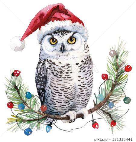 Watercolor snowy owl in Santa hat on pine branch 131333441