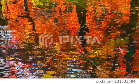 池の水面に映った紅葉風景 131333594