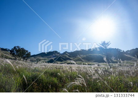 日本の兵庫県神崎郡神河町の砥峰高原の美しい風景 131333744