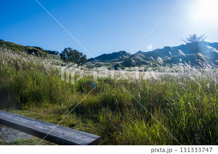 日本の兵庫県神崎郡神河町の砥峰高原の美しい風景 日本の兵庫県神崎郡神河町の砥峰高原の美しい風景 131333747