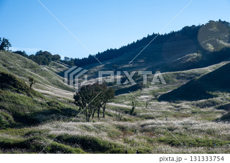 日本の兵庫県神崎郡神河町の砥峰高原の美しい風景 日本の兵庫県神崎郡神河町の砥峰高原の美しい風景 131333754