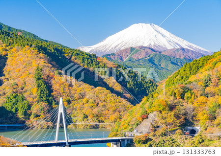 【神奈川県】丹沢湖　湖畔の紅葉　富士山遠望 131333763