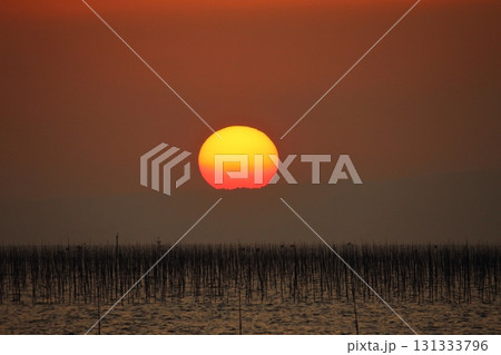 大牟田市　有明海　海苔畑、 131333796