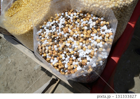 Corn for popcorn  dried corn background, top view. Maize grains texture, harvested corn seed. 131333827